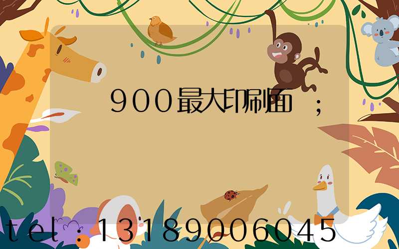 羅蘭900最大印刷面積