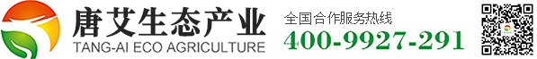 艾產(chǎn)品-唐艾生態(tài)農(nóng)業(yè)