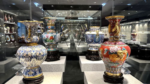 非遺技藝 智慧家居 運(yùn)河文化,在這里共繪發(fā)展新篇